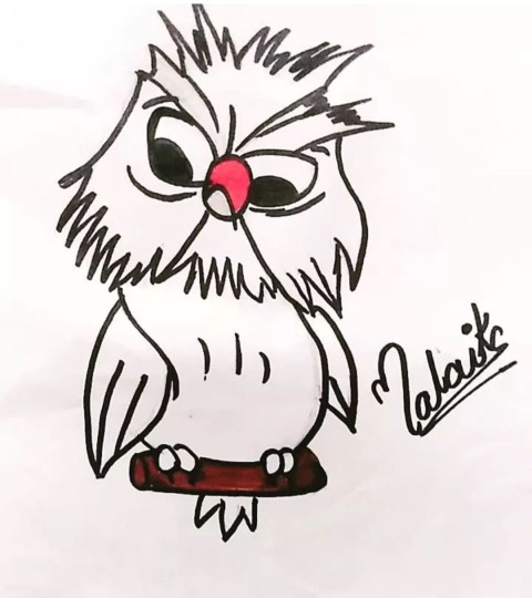 Sketch