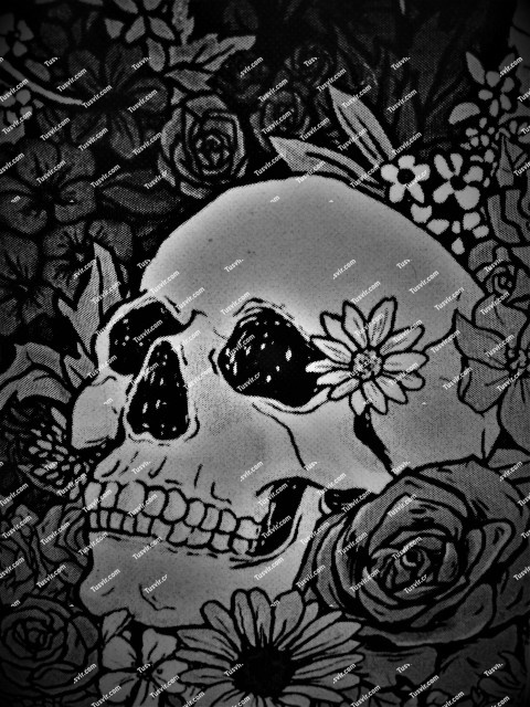 Skull & Roses