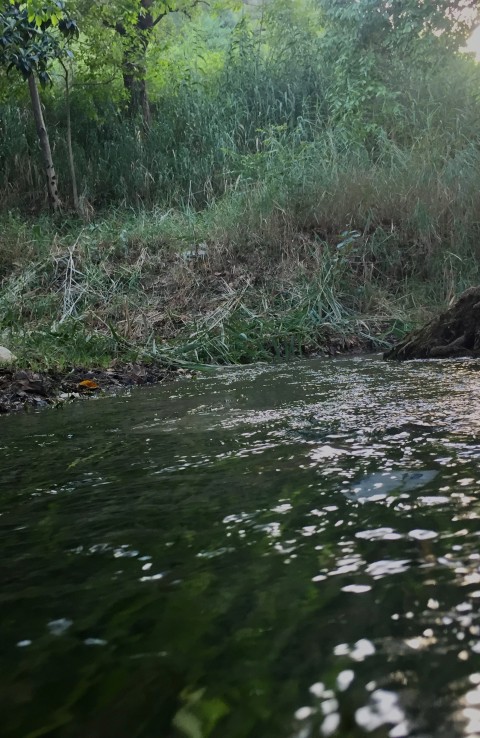 Small Water Canal