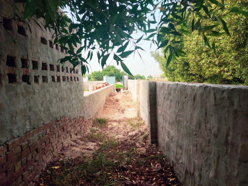 Street of a cow farm in Punjab, Pakistan where cow fodder is kept