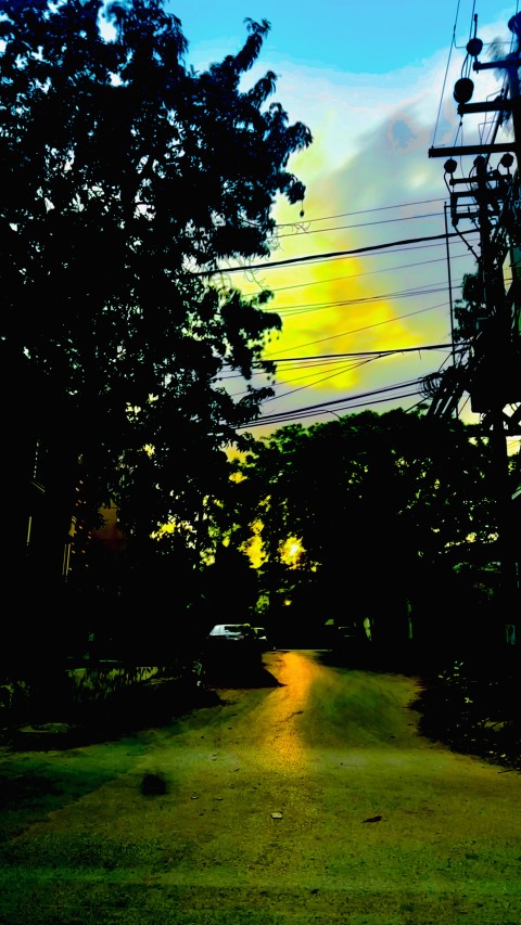 Sunset