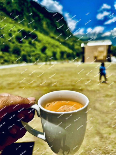 Tea