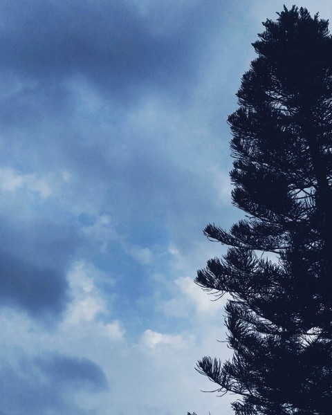 The Sky Is An Empty Blue Canvass.