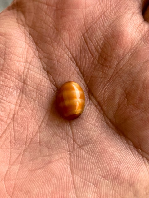 Tiger Stone