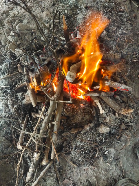 Top view of wood fire flames in winter season