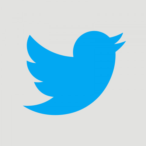 Twitter Logo Icon