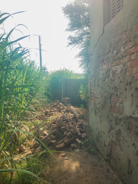 View from a distance, The outer wall of a house in the village collapsed in the sugarcane crop.