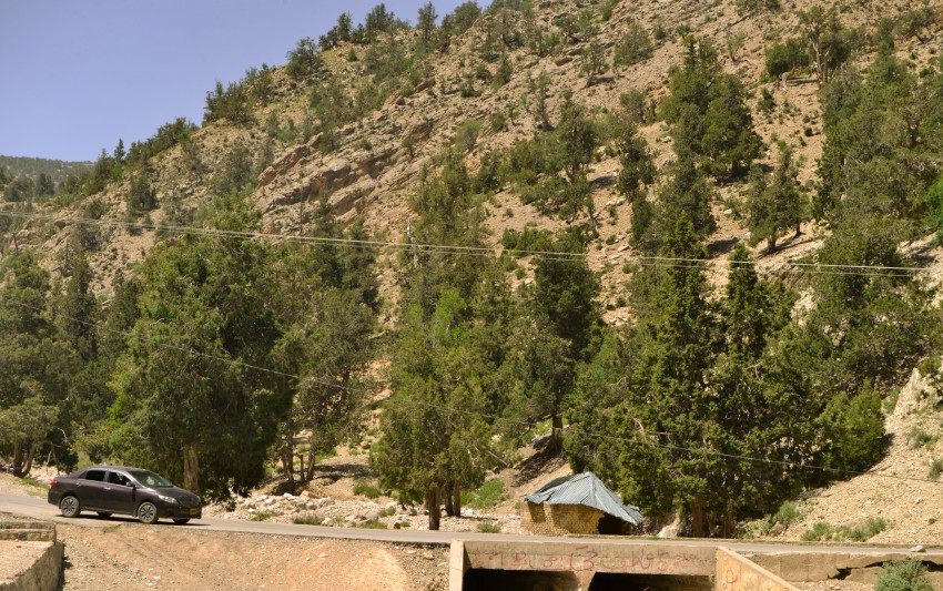 View of mountain in sunny daytime