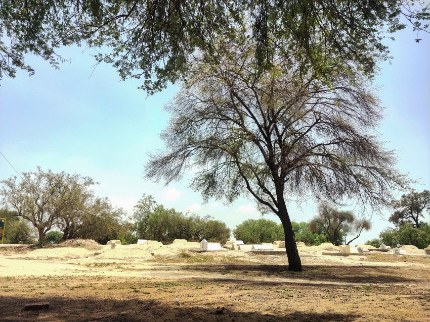 View of the Muslim cemetery, Graveyard Stock footage