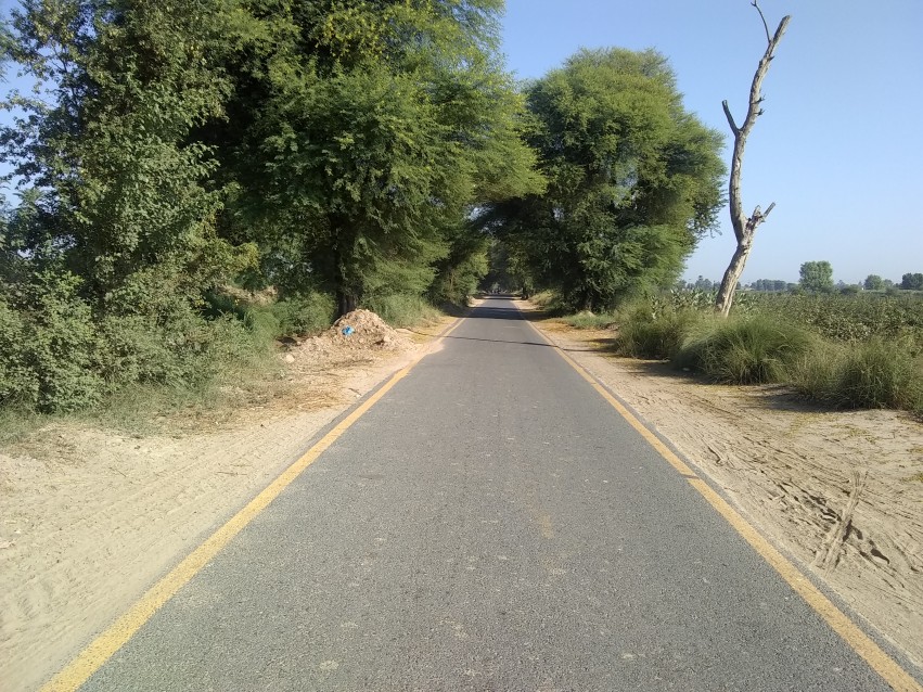 Village Sansan Road in Punjab