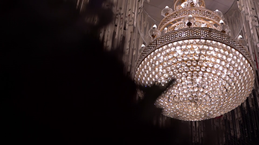 Chandelier with floral silhouette