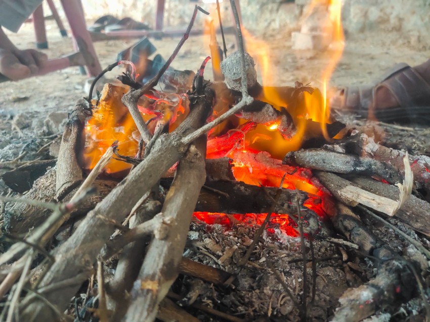 wood fire flames in winter season with ash
