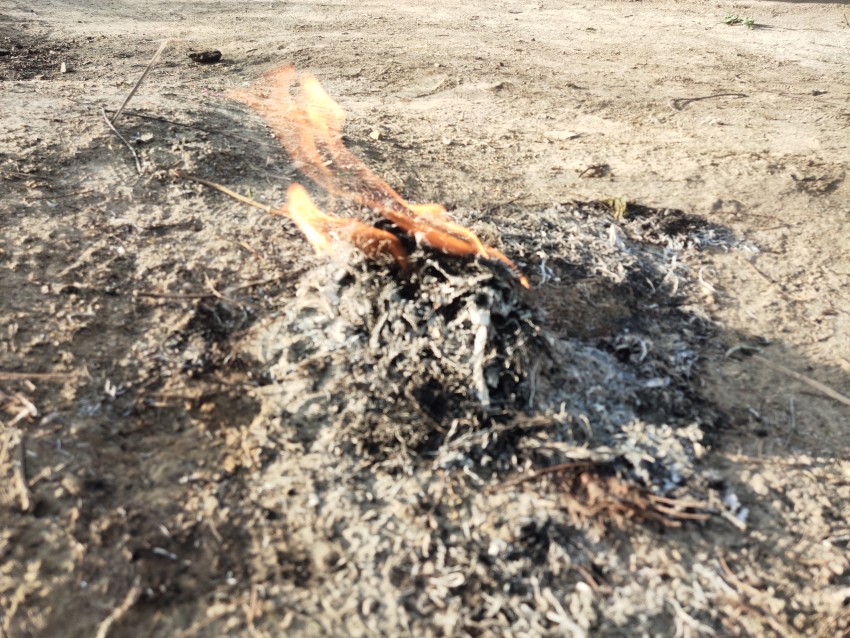 Wood fire stock footage, Golden fire and Ash