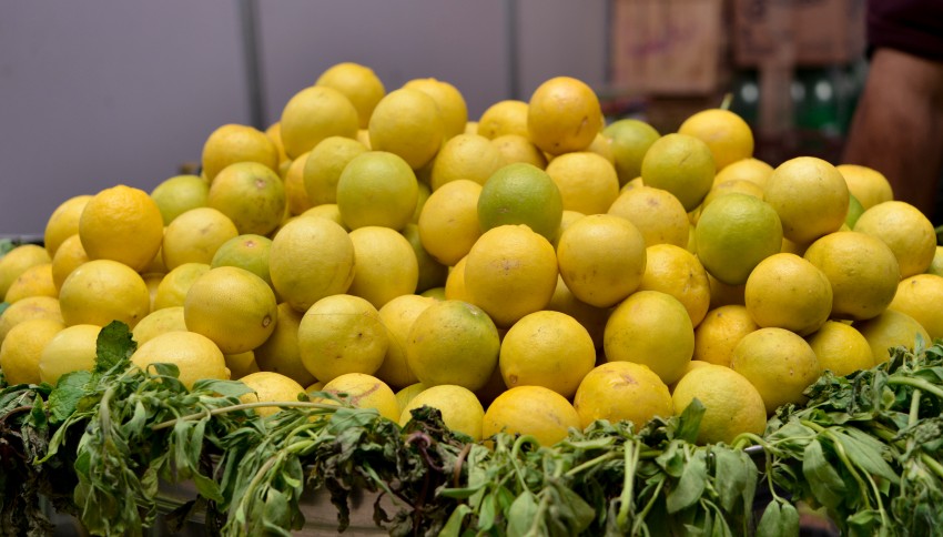 Yellow and mild green lemon served on a big tray with green leaves as a base