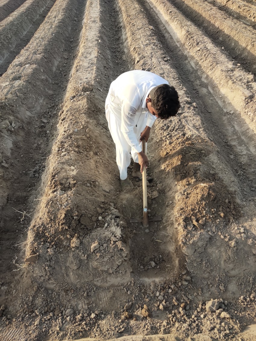Young boy working in the field